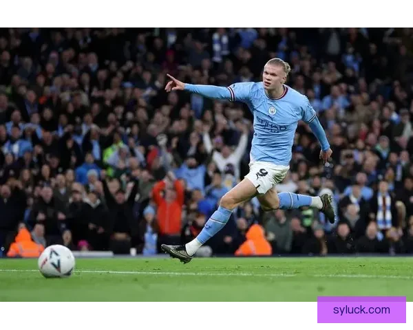 伯恩茅斯13百万引锋线新核进球效率力压哈兰德未来锋线核心捡到宝