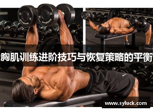 胸肌训练进阶技巧与恢复策略的平衡
